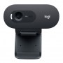Webcam Logitech C505e 1280 x 720 pixels USB Noir